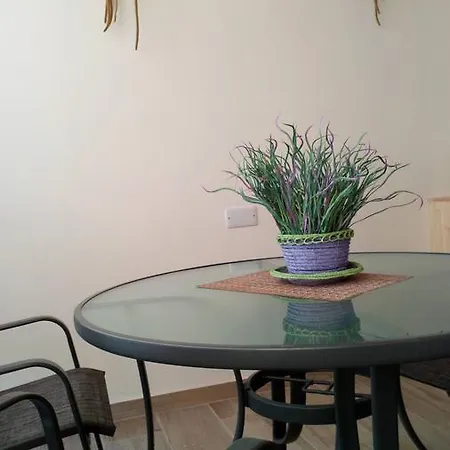 Pastel Oasis Larnaca